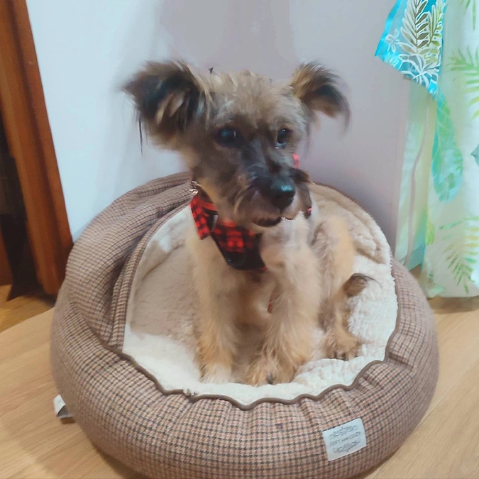 公開3日目のお知らせです☺