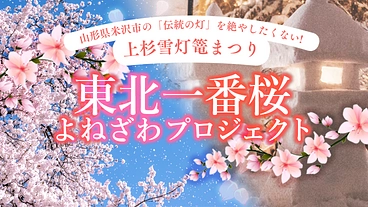 伝統の灯を絶やしたくない！「東北一番桜よねざわプロジェクト」 のトップ画像