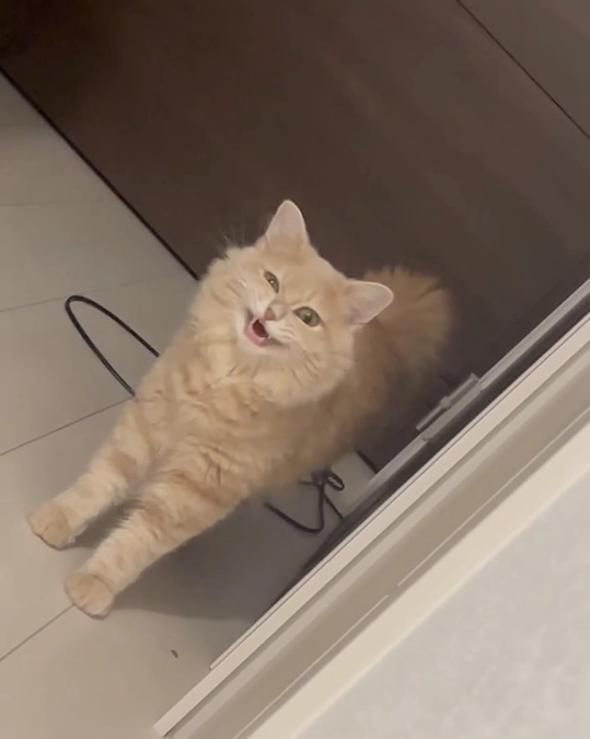 クラウドファンディング終了まで27日