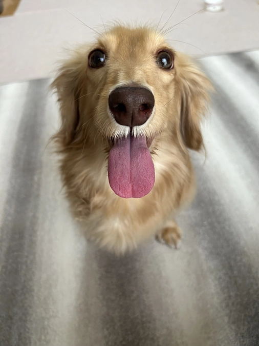 なかなかいい方向にいかず…