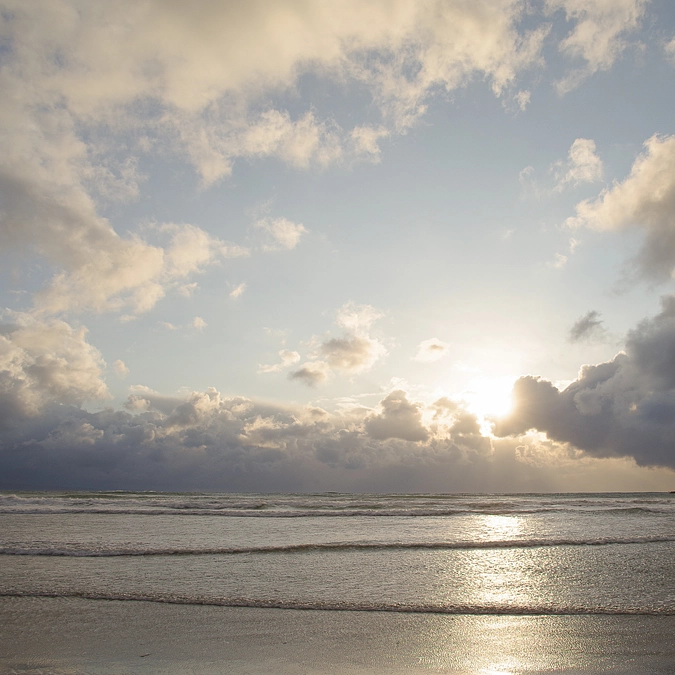 ご支援・目標に達し確定させていただきました！！おかげさまです！！