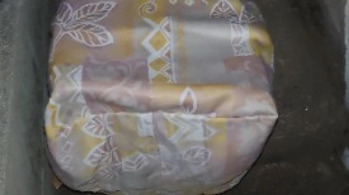 3月25日 TNRの明細