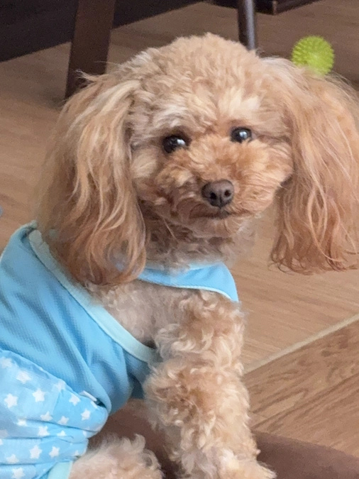 １０月３０日のゆむ君