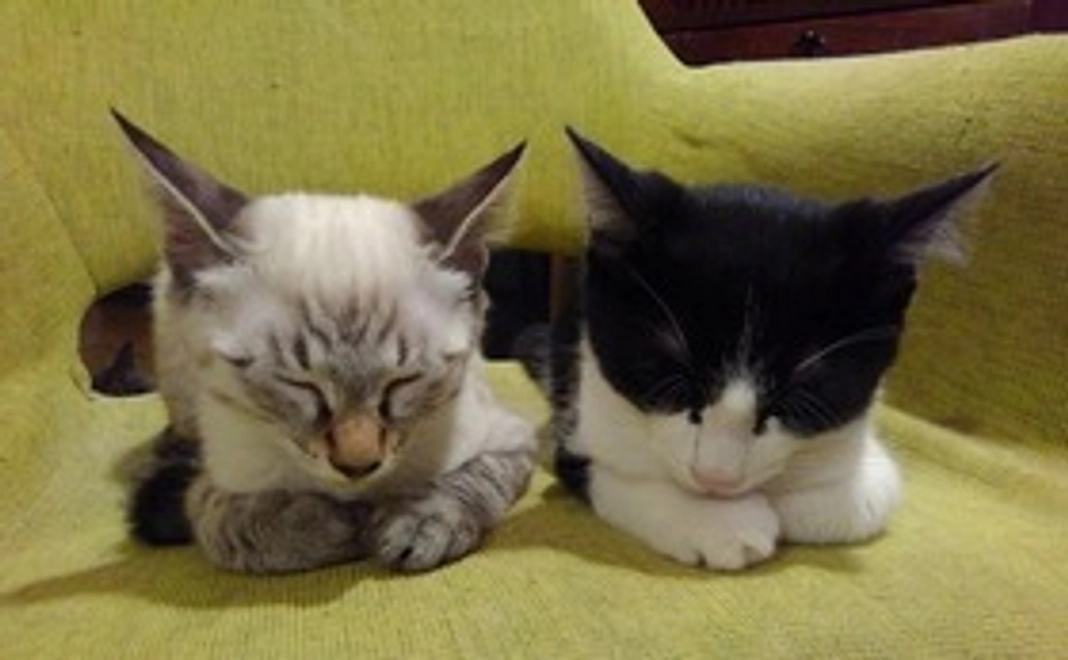 ポストカードコース