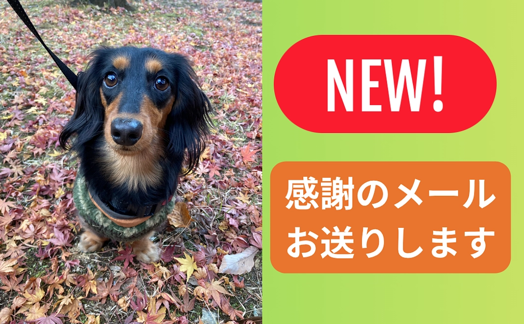 【NEW】感謝のメール