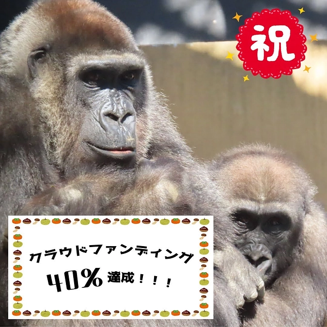 クラウドファンディング４０％を達成しました！