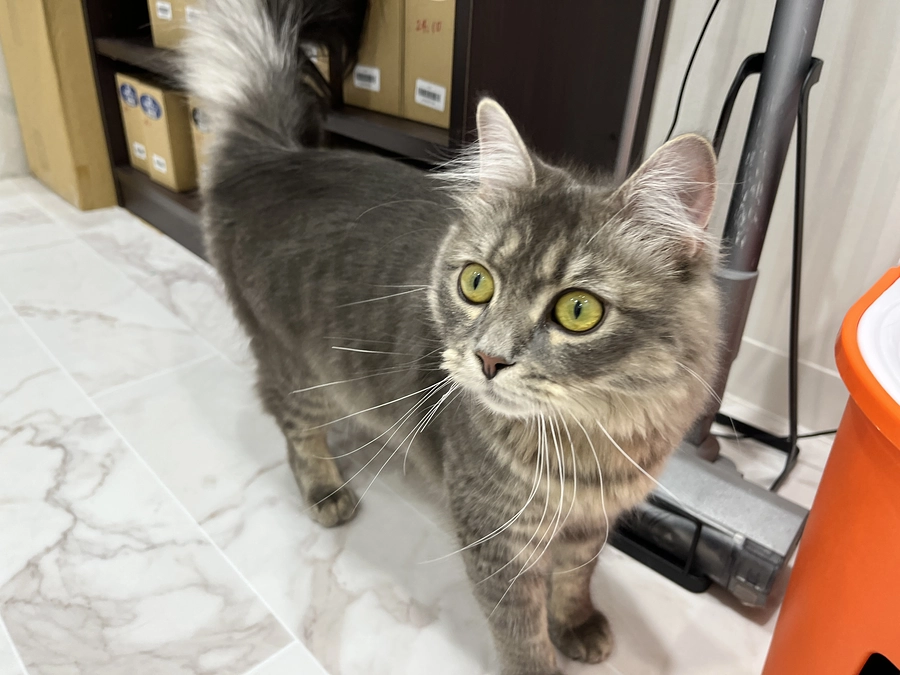 投薬41日目　夫婦で面会