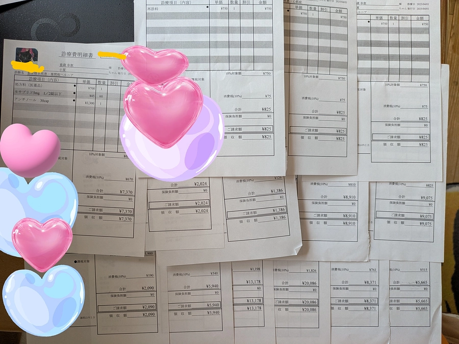 今月のうちの子の医療費