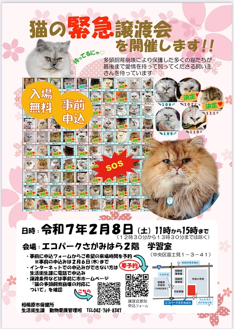 チンチラ１１１匹多頭飼育崩壊・相模原市主催緊急譲渡会　〜相模原市の取り組み〜