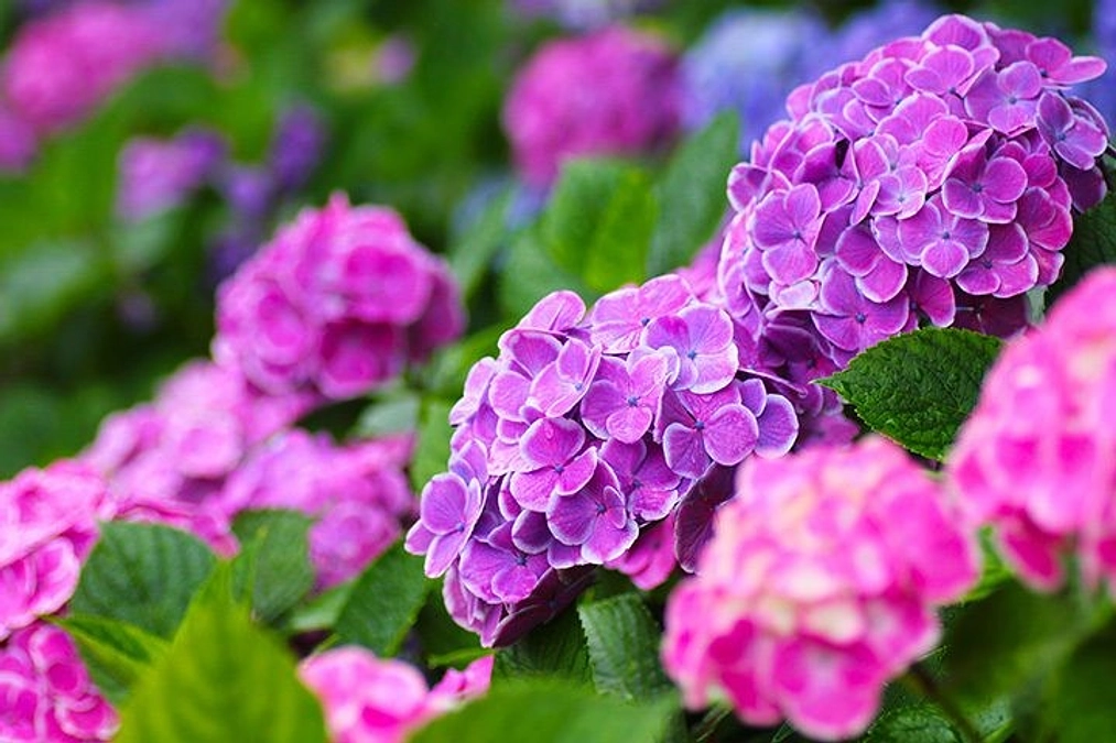 御礼　目標金額20%達成致しました。代理支援もしております。