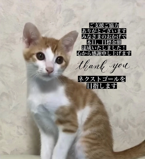 達成のご報告、ネクストゴールへ