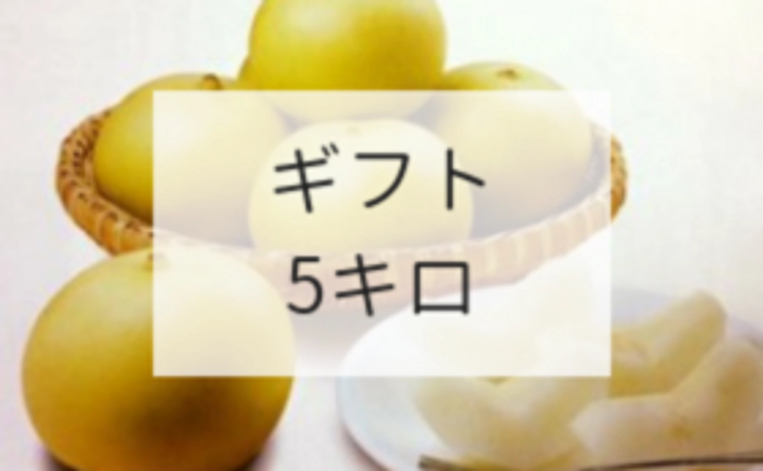 【魅力をギフトで！コース】21世紀梨ギフト５キロ（12000円相当）