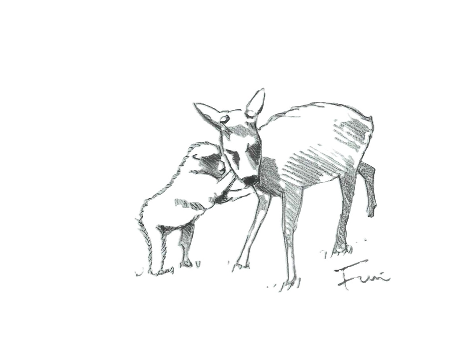 サルのつぶやき