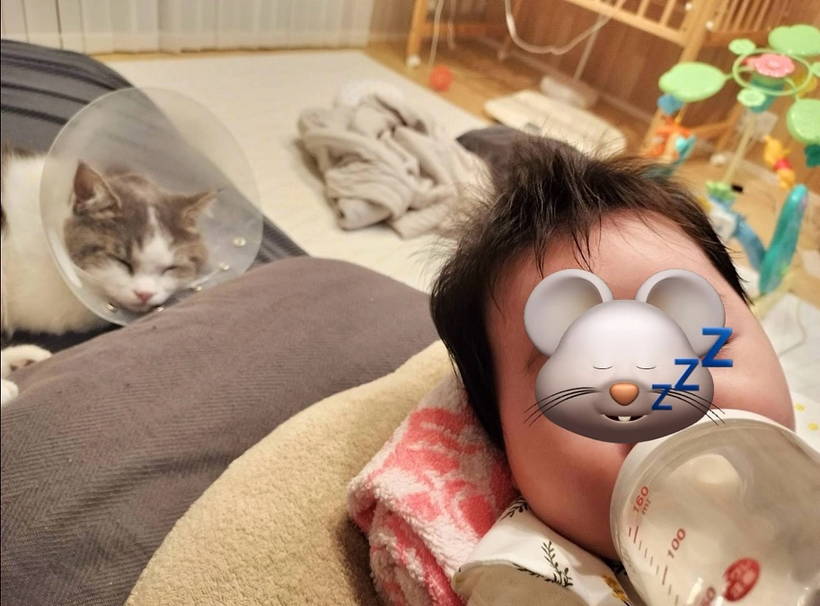 最高のお兄ちゃん