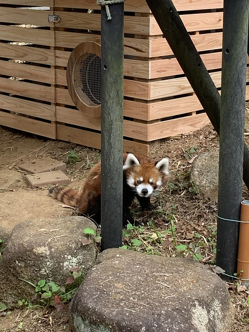 パワーアップした冷風機の実力