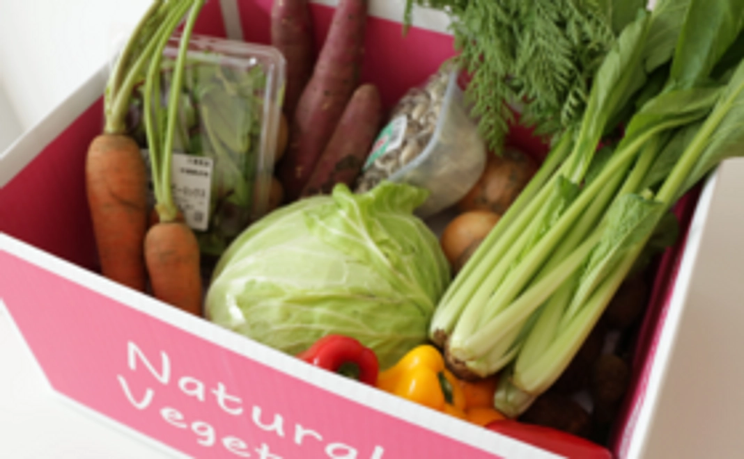【Organic野菜セット】6箱を購入して千葉の農家さんを応援しよう