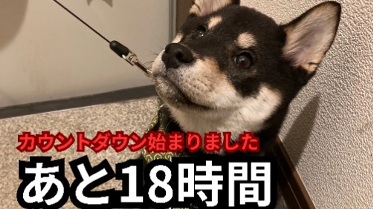 あと１８時間になりました。