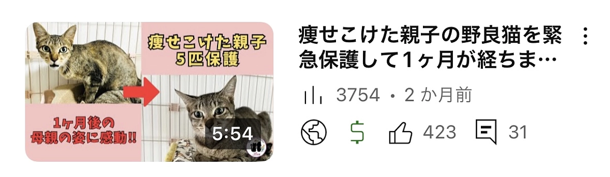 灼熱地獄で生きぬいた親子に幸せを