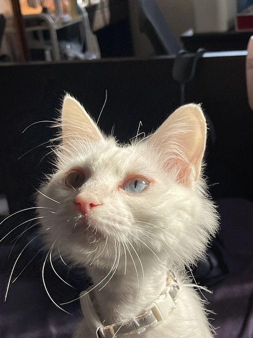 モーニングみんびー