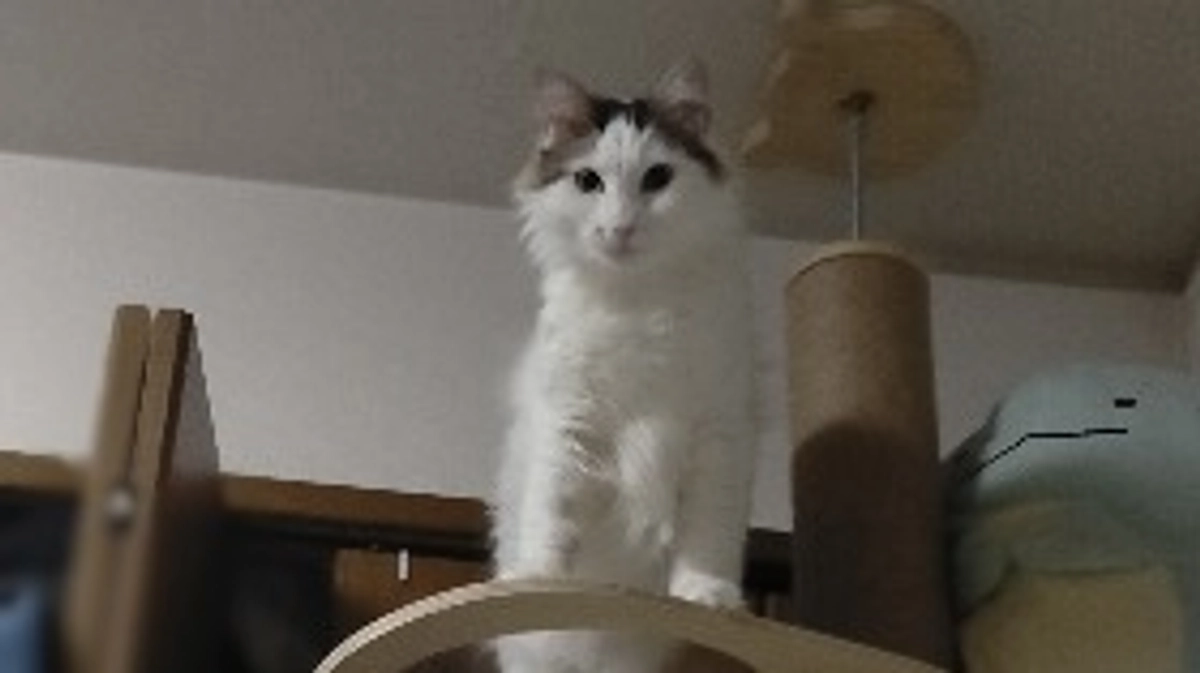 クラウドファンディング本日最終日！！🆘あと8時間😭🆘