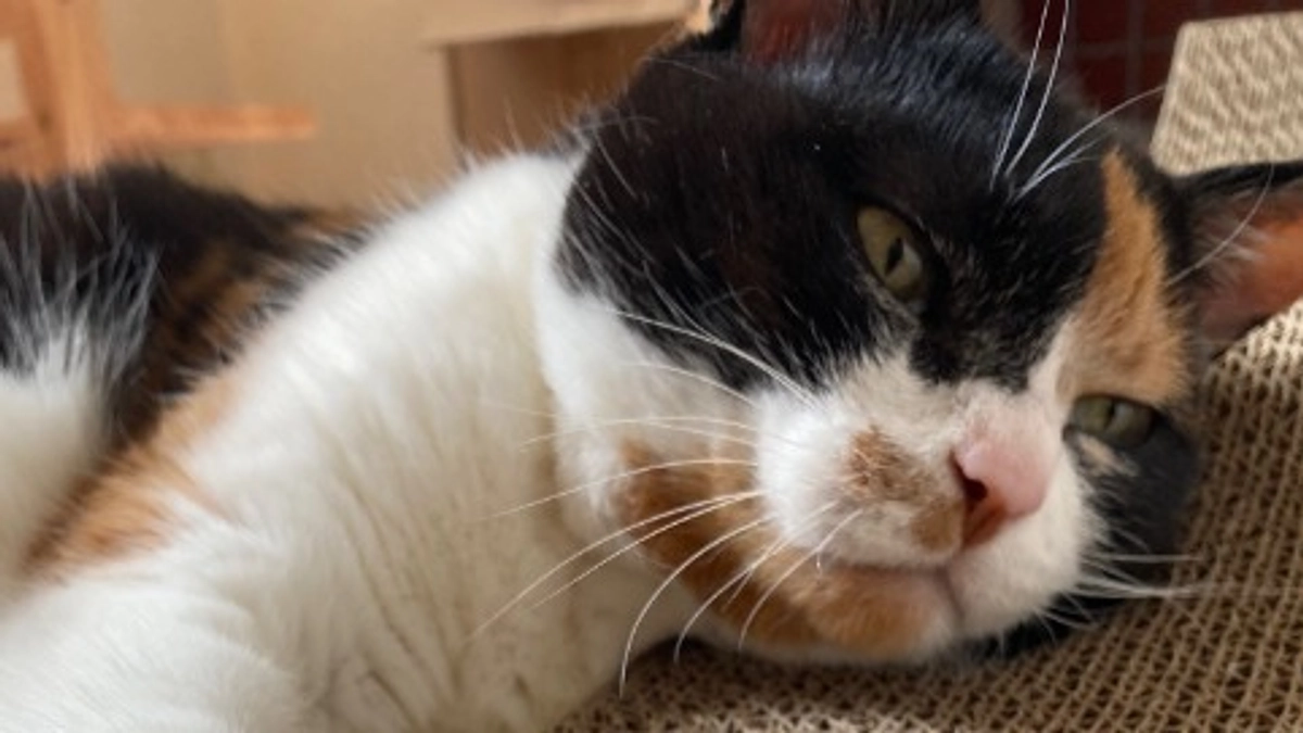 ■活動報告_９：本日少々お怒りモード💦