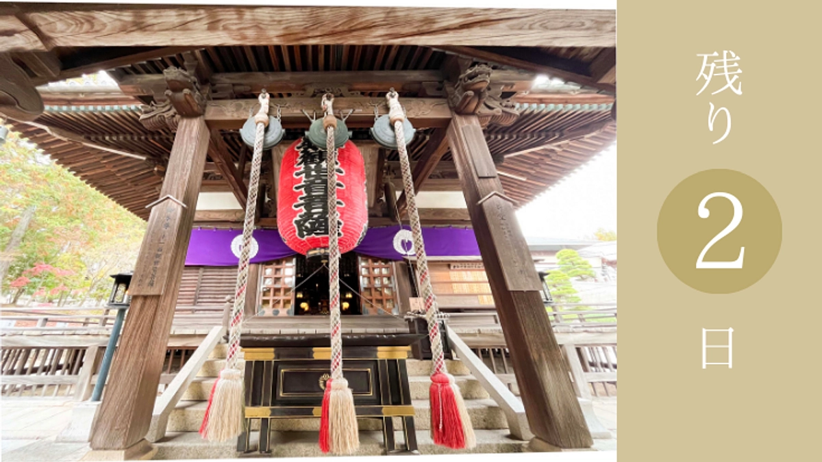 【残り２日】賛同コメントのご紹介