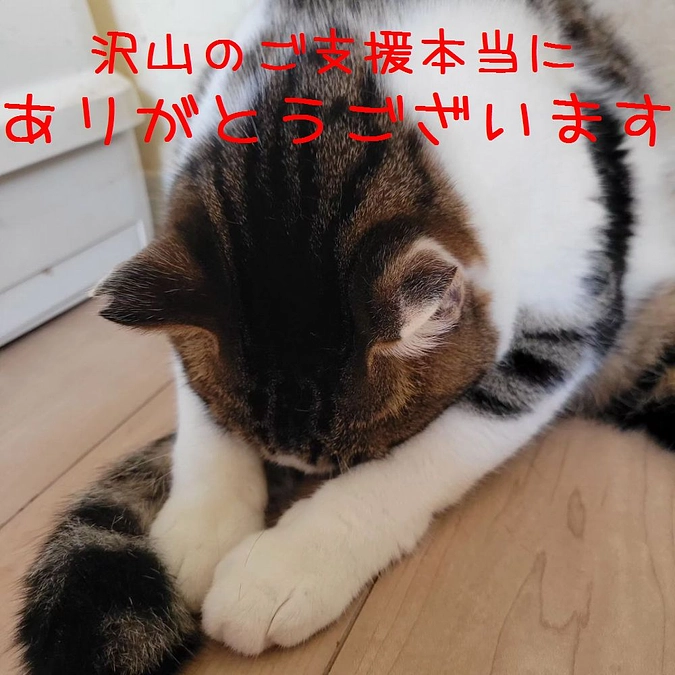 本当に本当にありがとうございます。