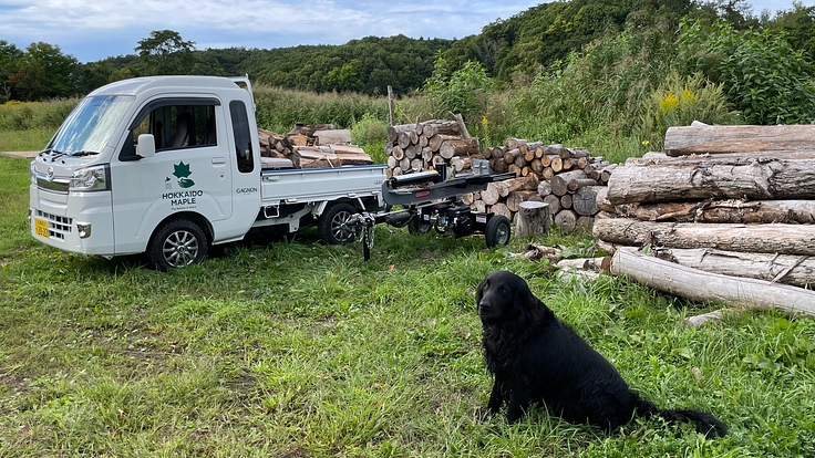 当別町の豊かな森から、ギャニオンがつくる北海道産メープルを世界へ！