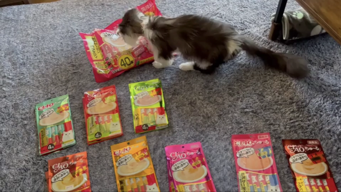 10/30のテオくんの様子