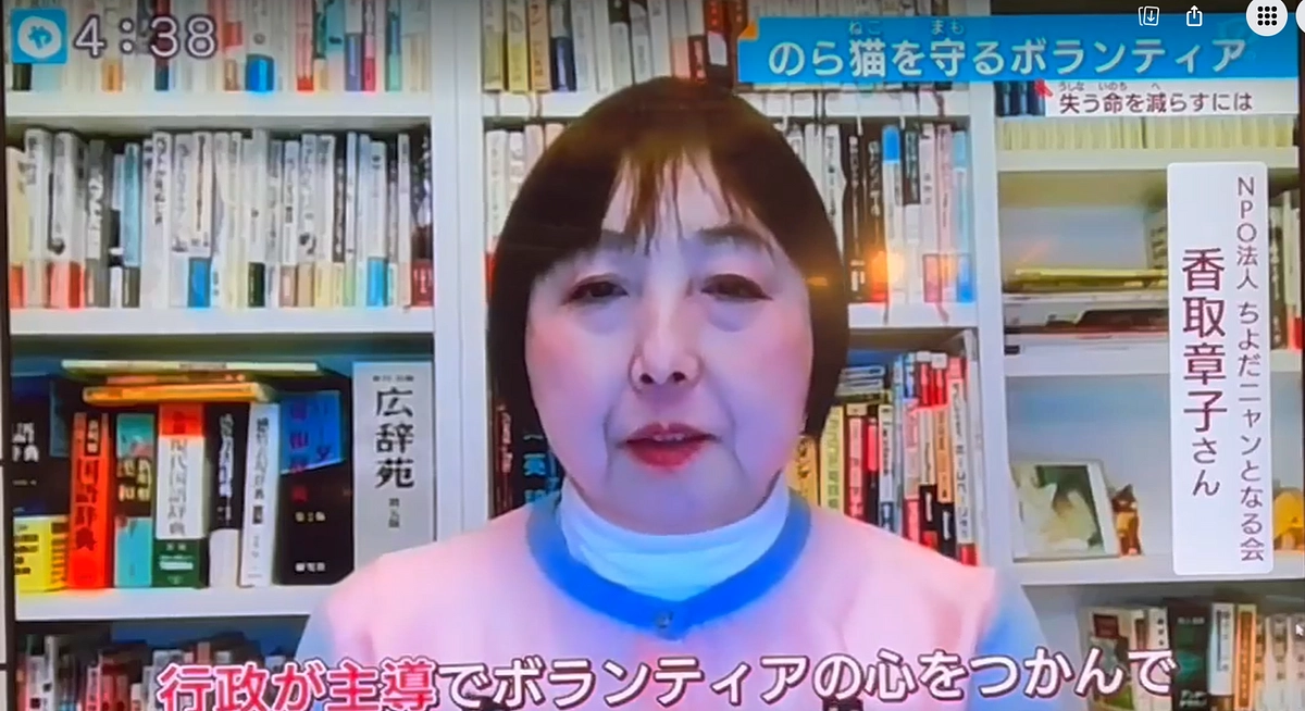 テレビ大阪「やさしいニュース」にオンラインで出演