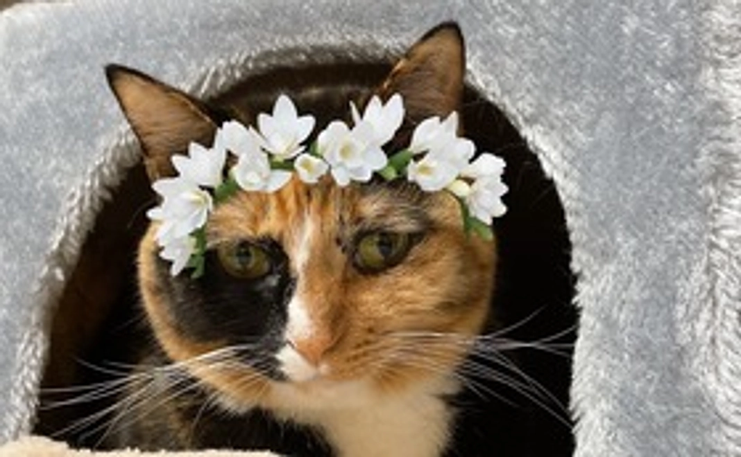 サンちゃん、ガンバ!