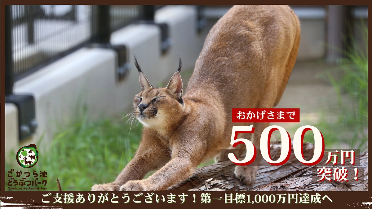 目標金額の50％を達成しました！！！