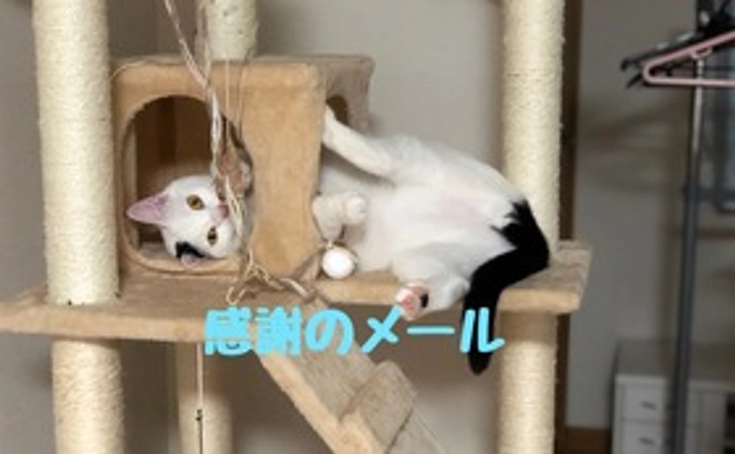 そうちゃん全額応援【1,000円】