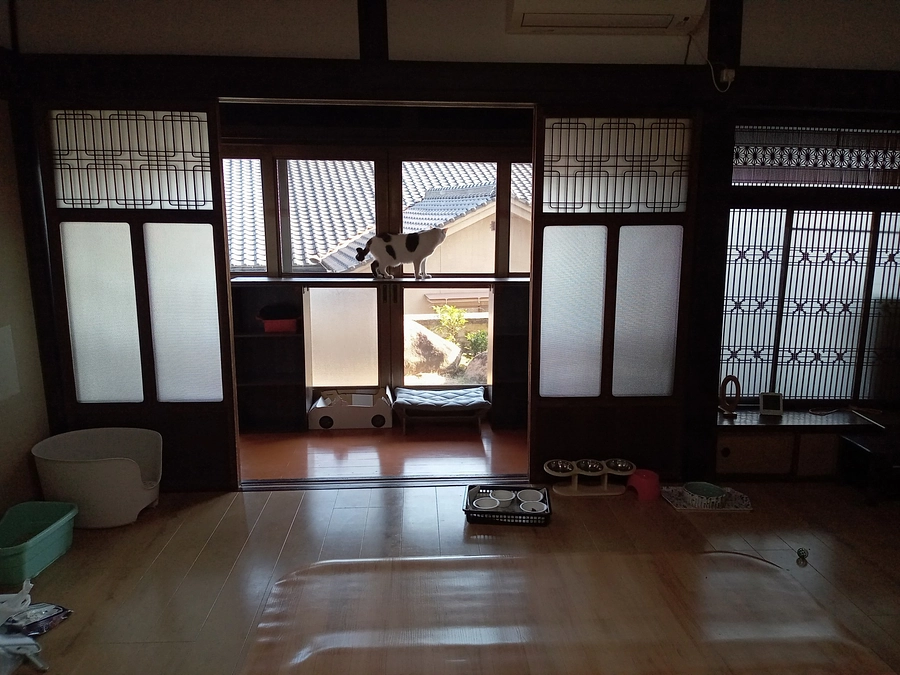 DIYのご報告　2Fの棚板を机と椅子にしました！