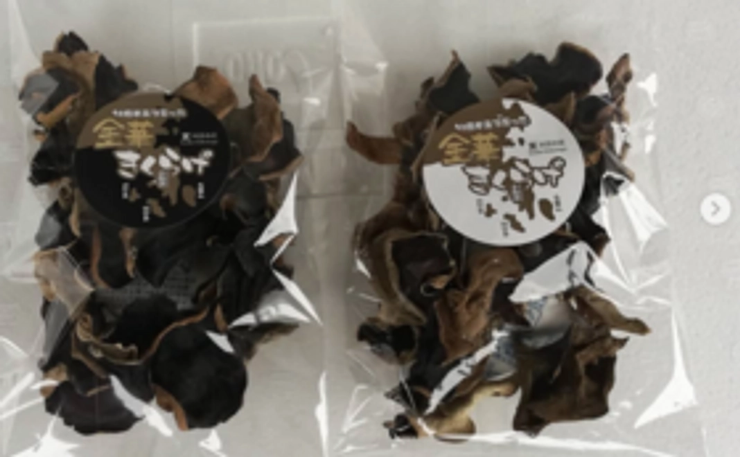 生食用牡蠣（剥き身）付き！浜の味を堪能！（1万円）