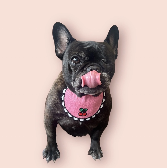 リターン品のお品について