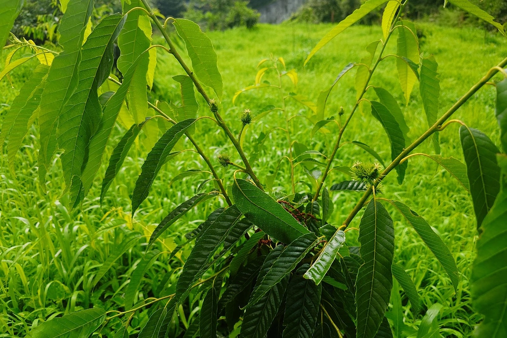梅雨明けです🌞