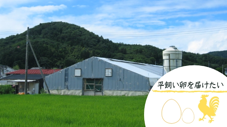 本宮烏骨鶏を東日本大震災前の平飼いに戻したい！