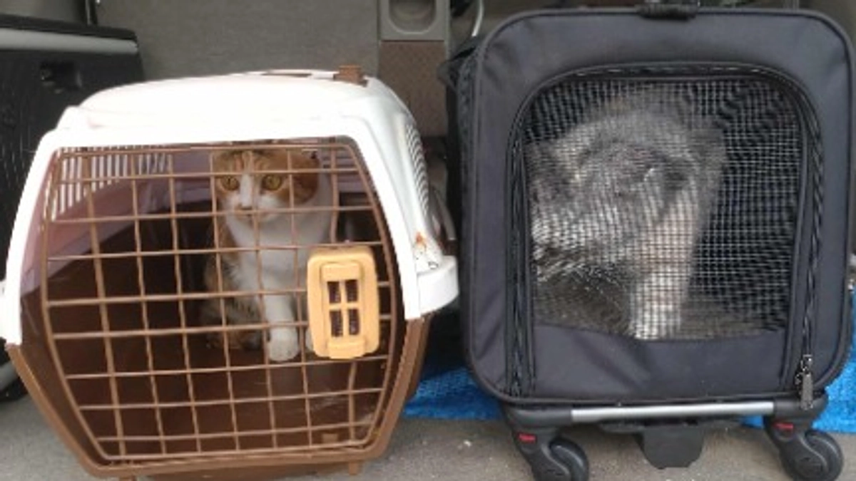 ネクストゴールに挑戦します！