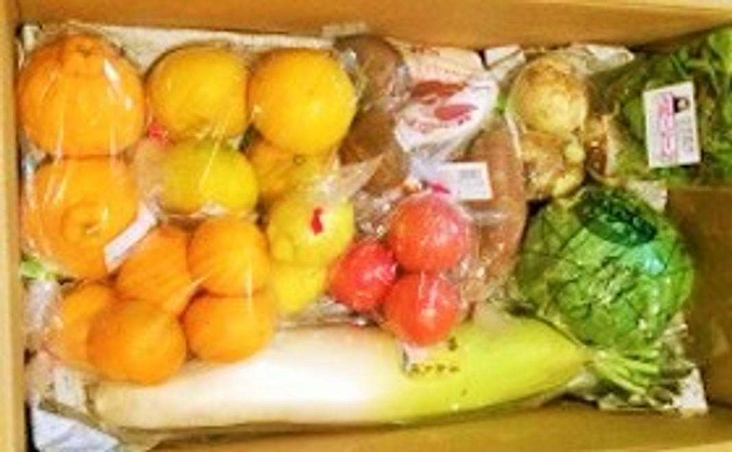 天草の無農薬野菜をお送りします!