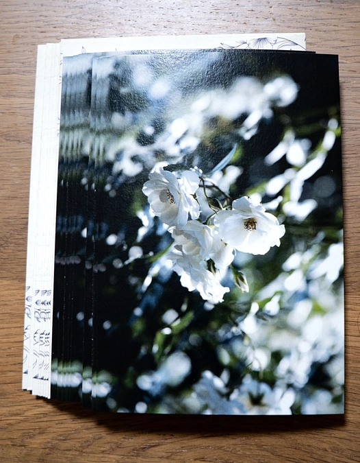 リターン送信、投函しました。