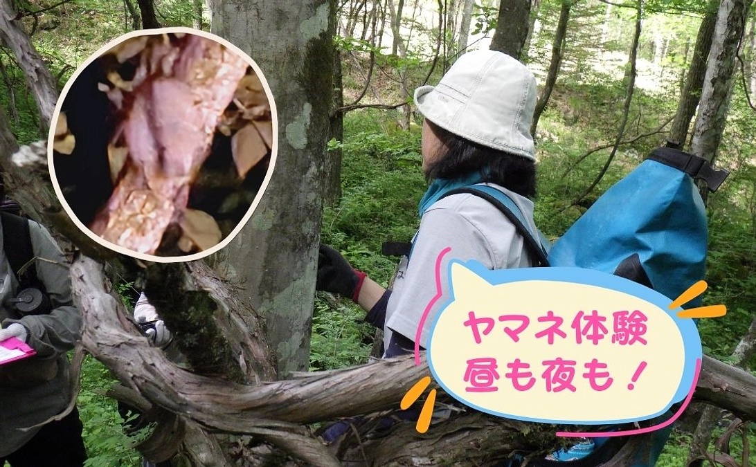 🍃ご支援の皆さまと！ヤマネ調査の現場へようこそ！