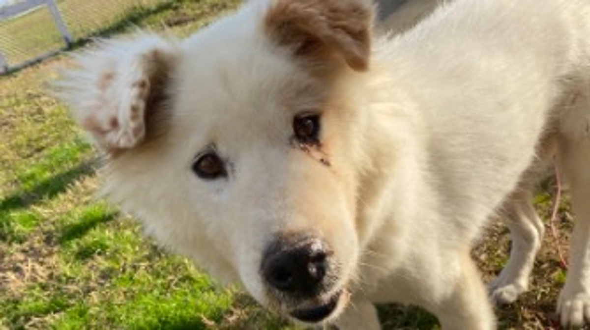 たくさんのご支援ありがとうございました