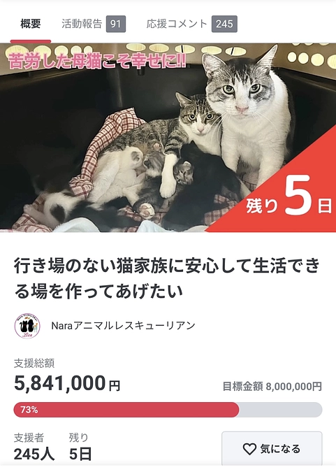 授かった小さな命を守ります✨