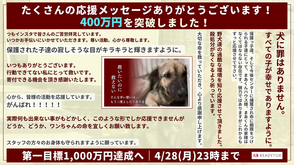 【途中経過のご報告とお礼】400万円を突破しました！たくさんのご支援ありがとうございます。
