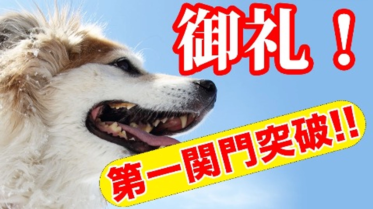 【第一関門30％突破！】保護わんと少年院の子どもたち。