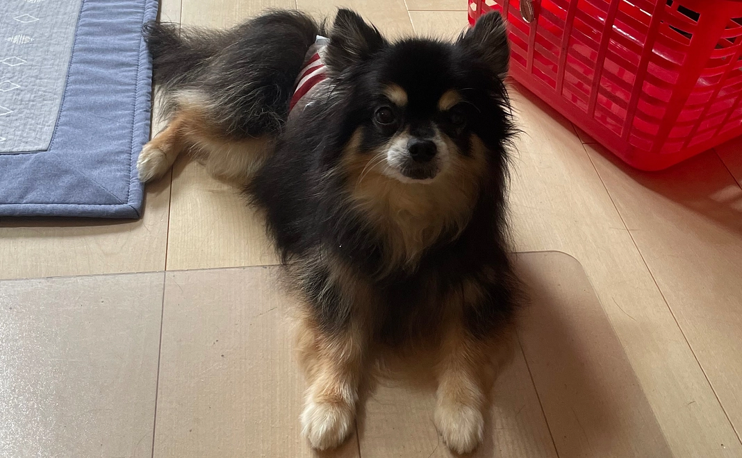 ご支援頂きありがとうございます⑥