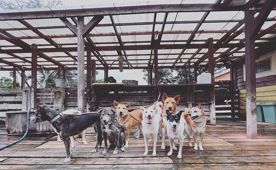 毎月5000円コース