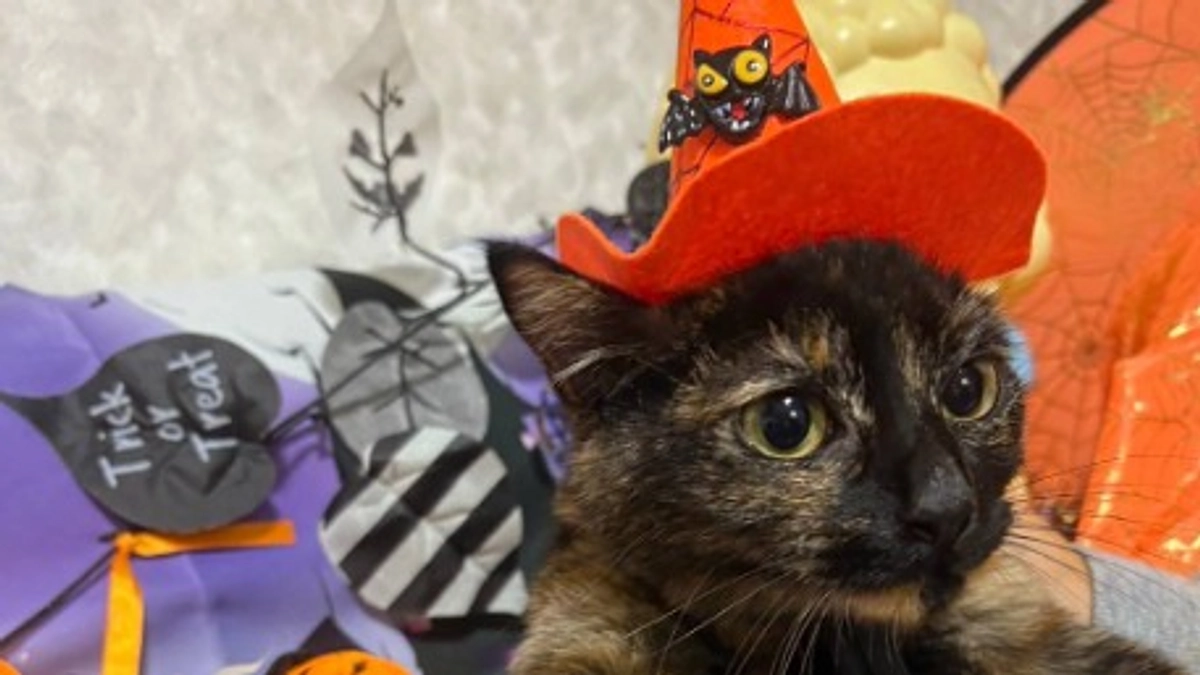 最終日はハロウィン！！