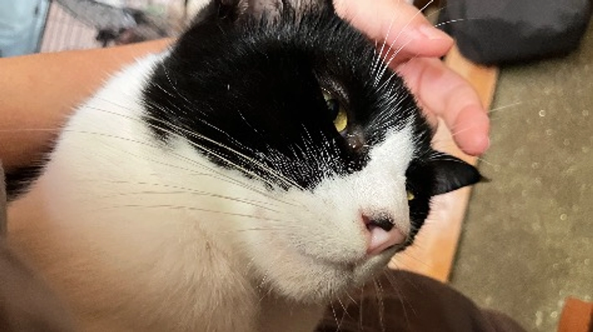 本日はエアコン取り付け